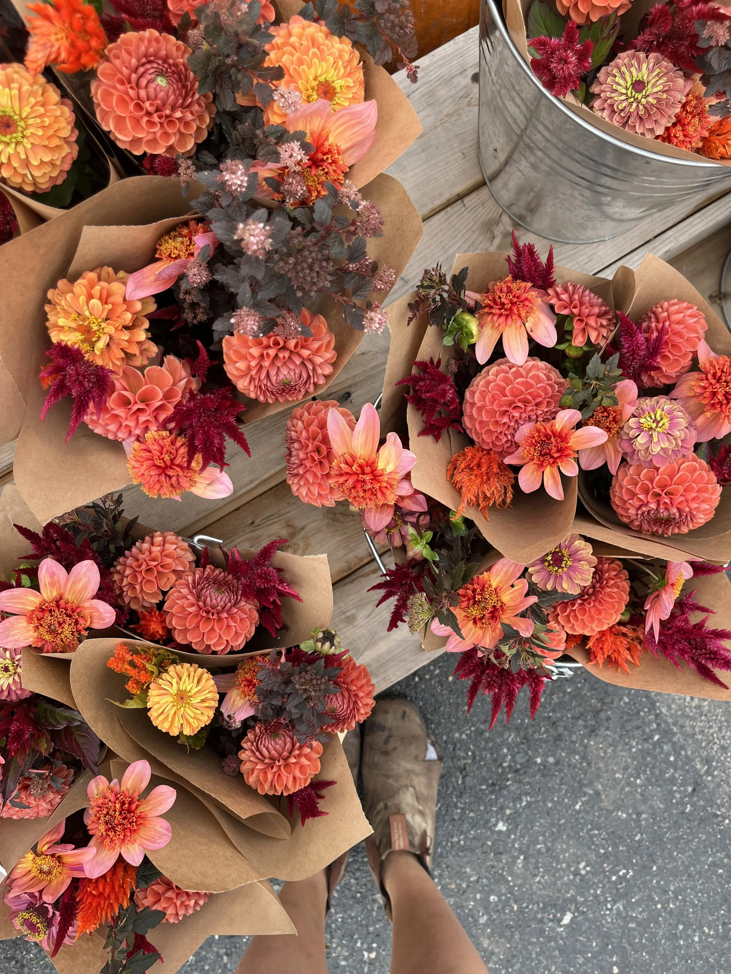 IMG_6534_Original (1).jpeg