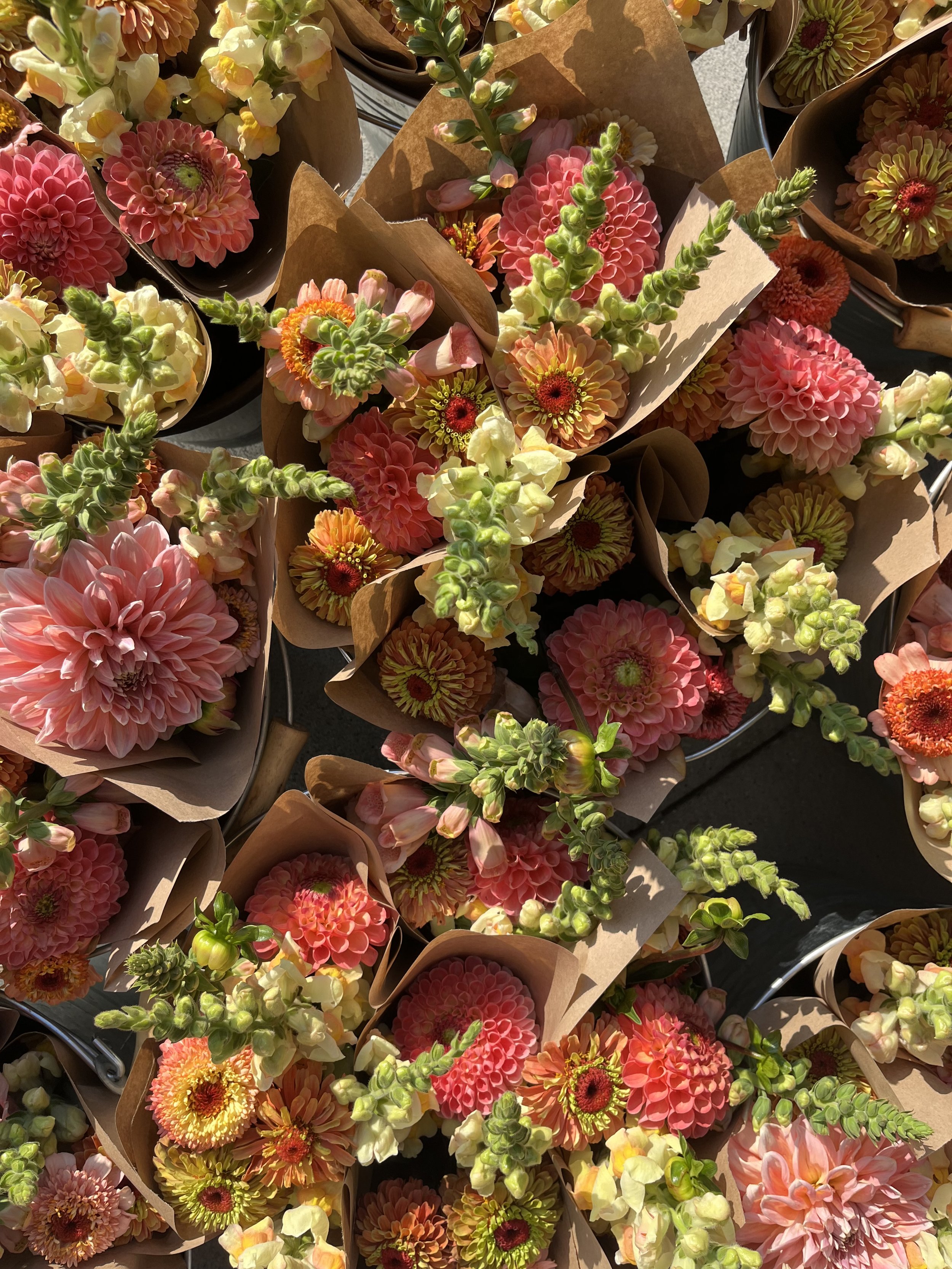 IMG_4329_Original (1).jpeg