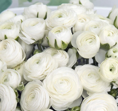 Screenshot 2025-05-16 161104.png