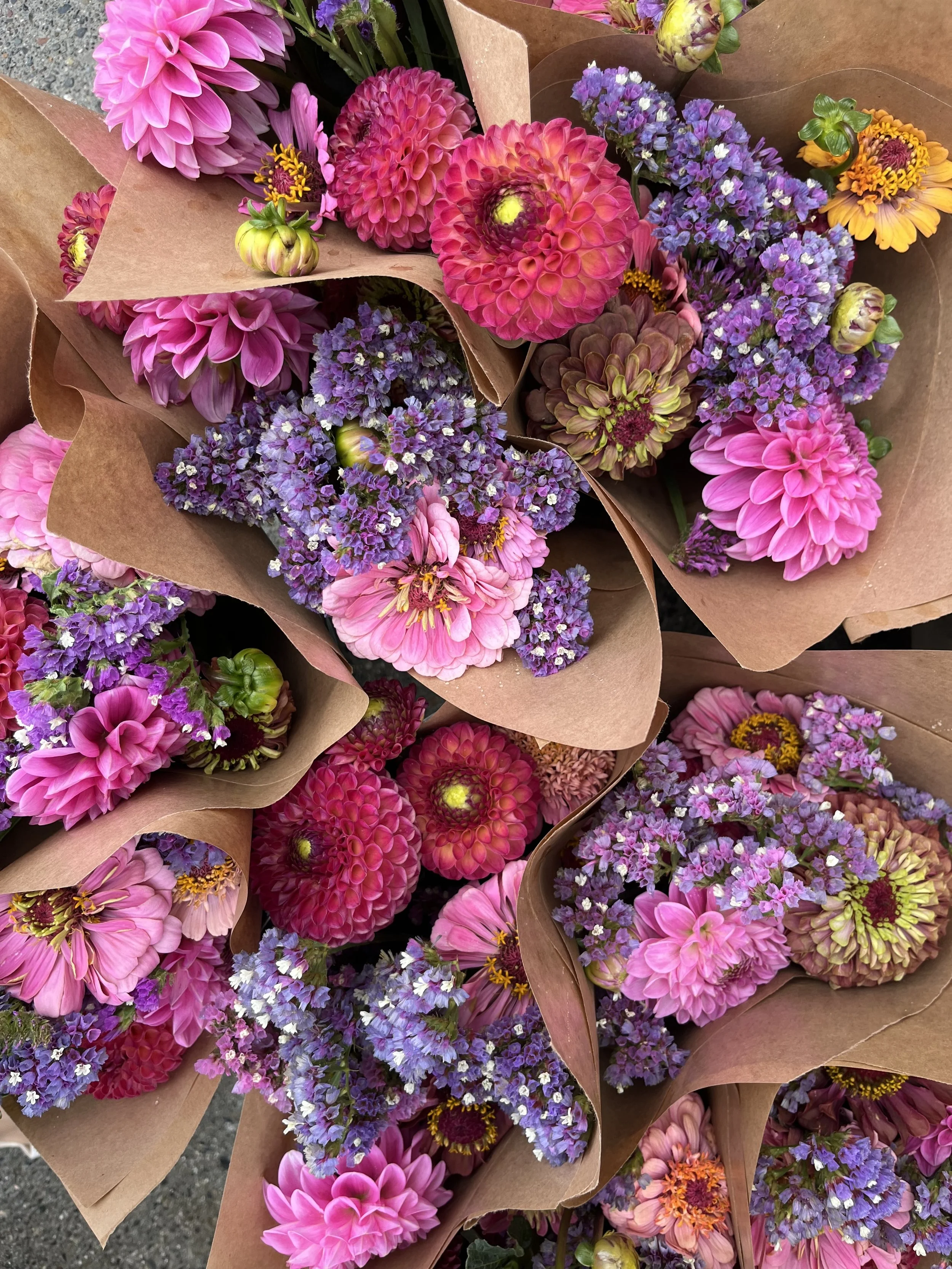 IMG_4548_Original (1).jpeg