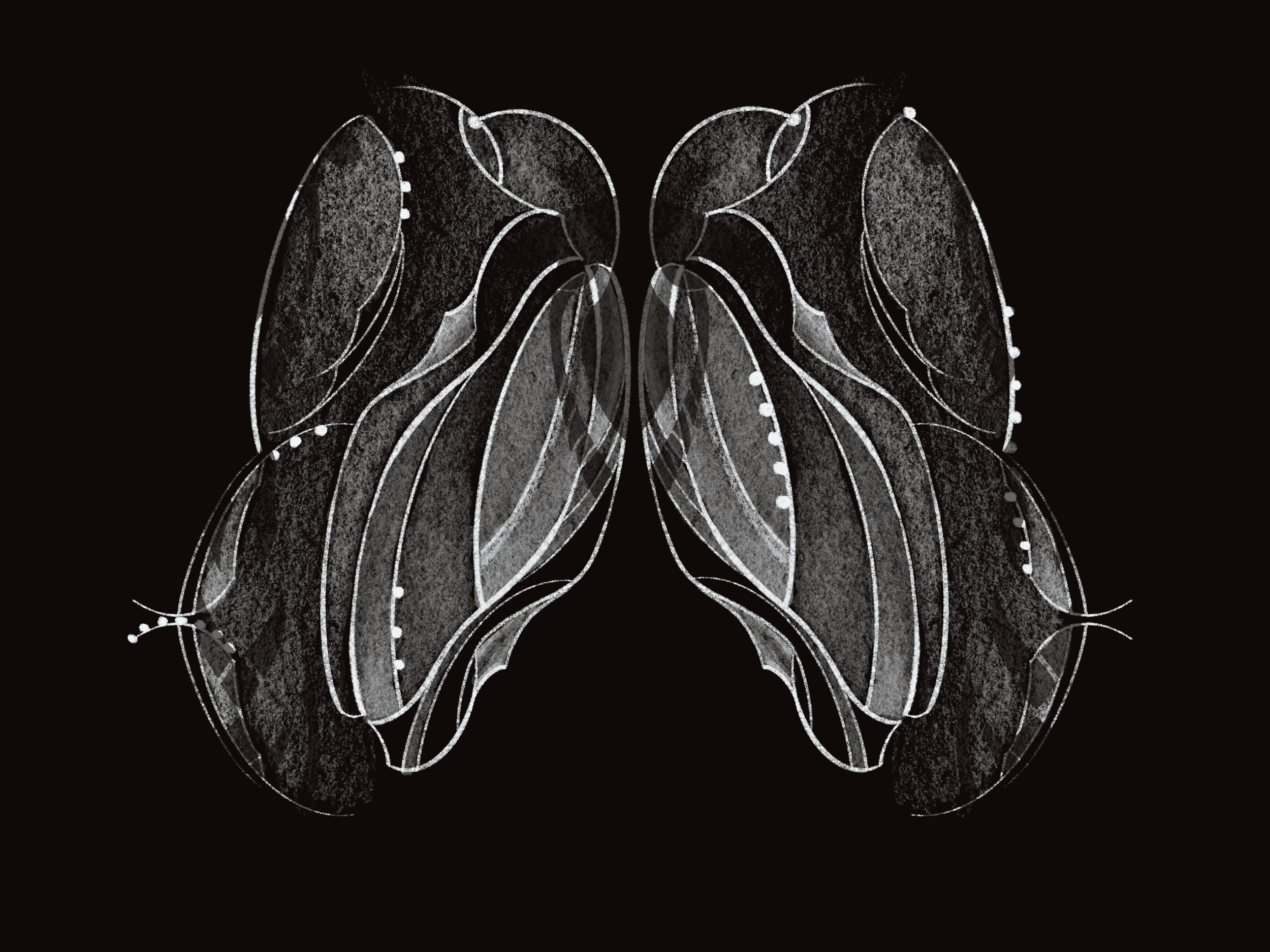 Butterfly.PNG