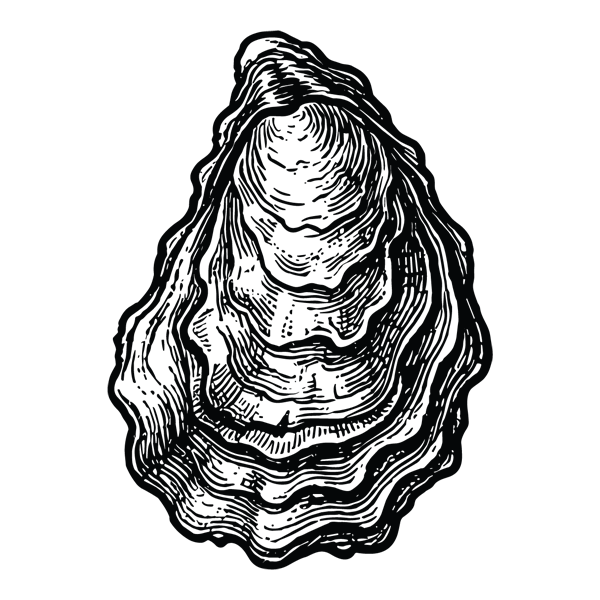 oyster.png