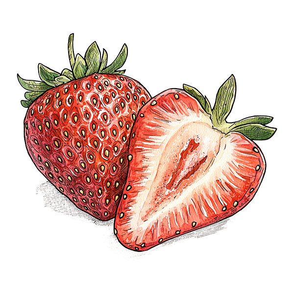 AdobeStock_964658844.png