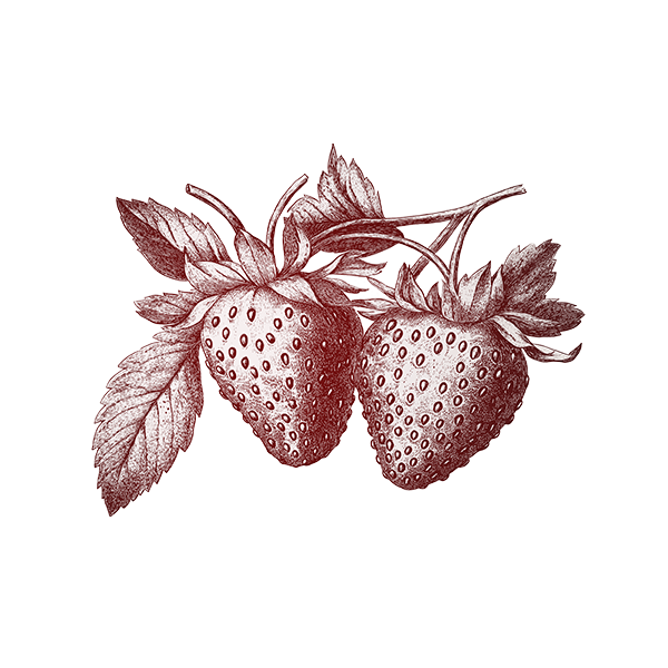 Untitled-1 (26).png