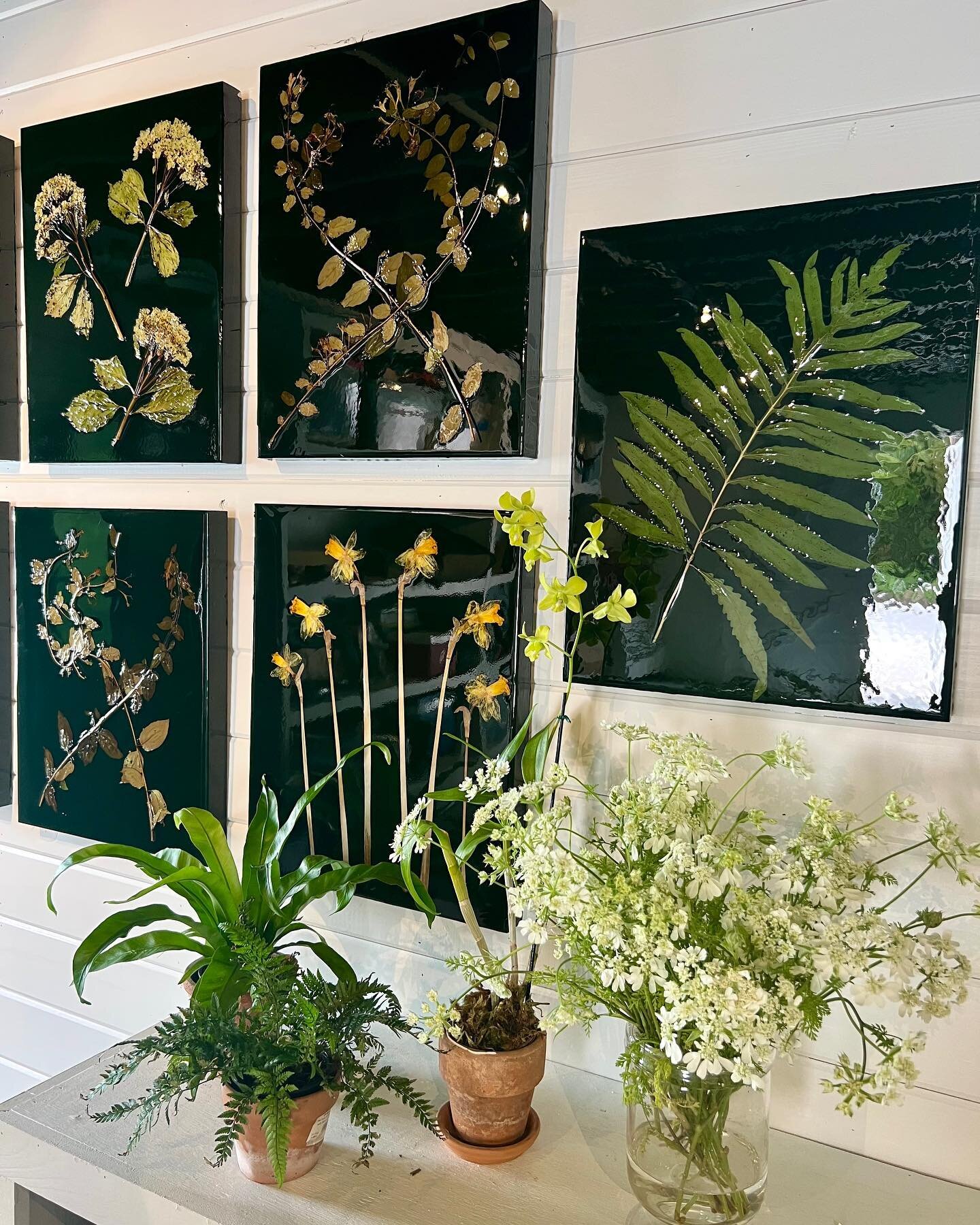 Absolutely love this incredible collection of preserved botanicals by @mstudio Mary Margaret Monsees. Set in resin against a rich green background, the preserved florals capture the peak of spring before it slowly fades to summer.  Congratulation @ms