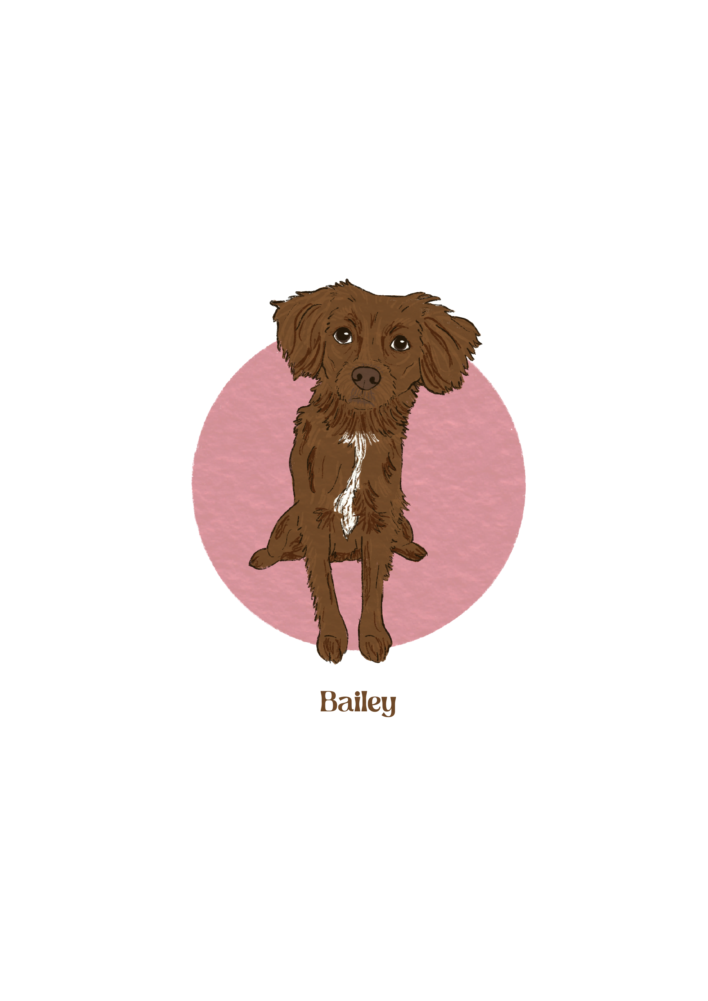 Bailey 5.png