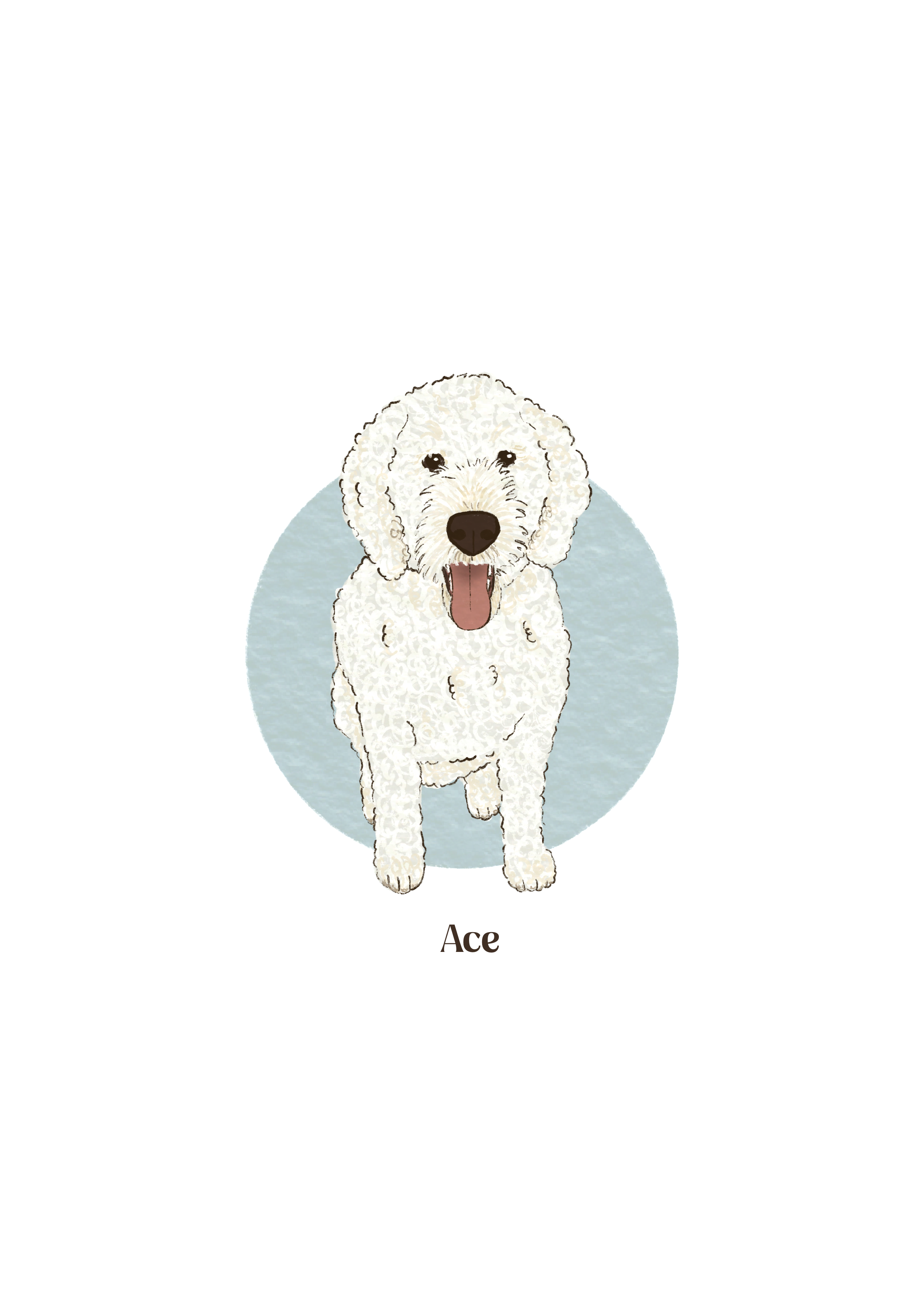 Ace 2.png