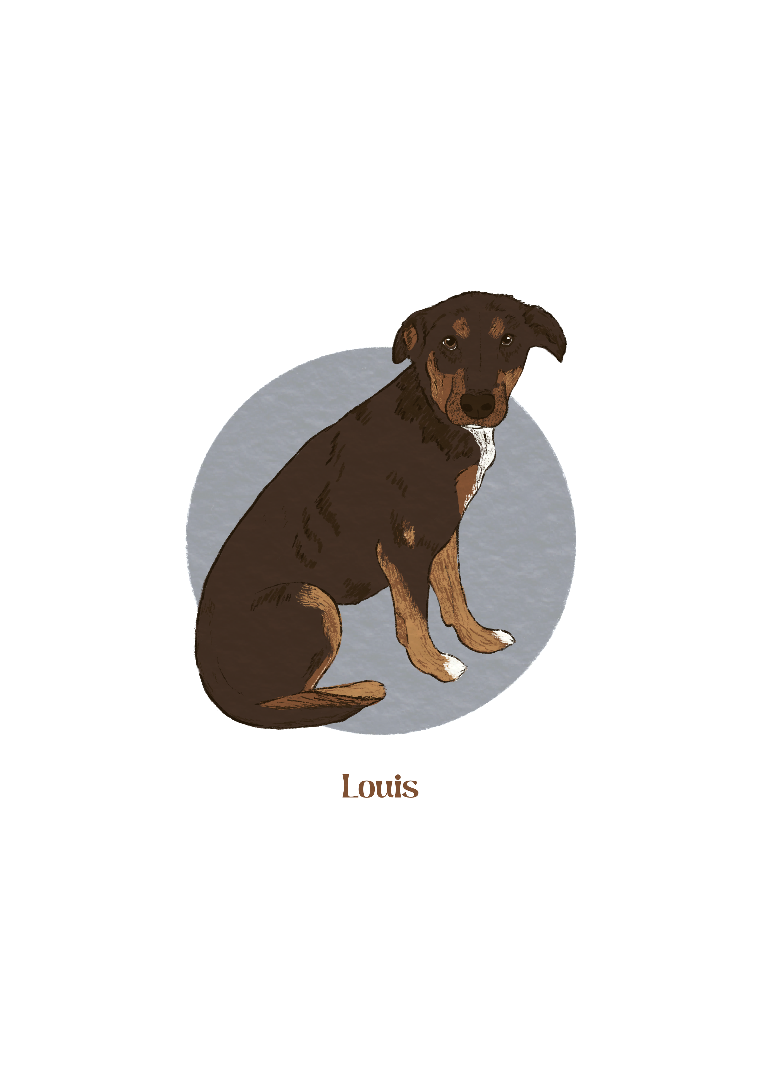 Louis 2.png