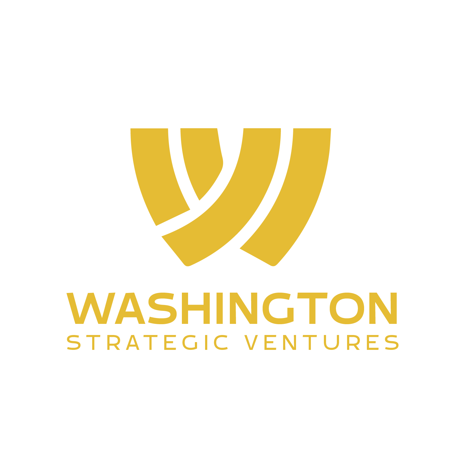 Washington Strategic Ventures