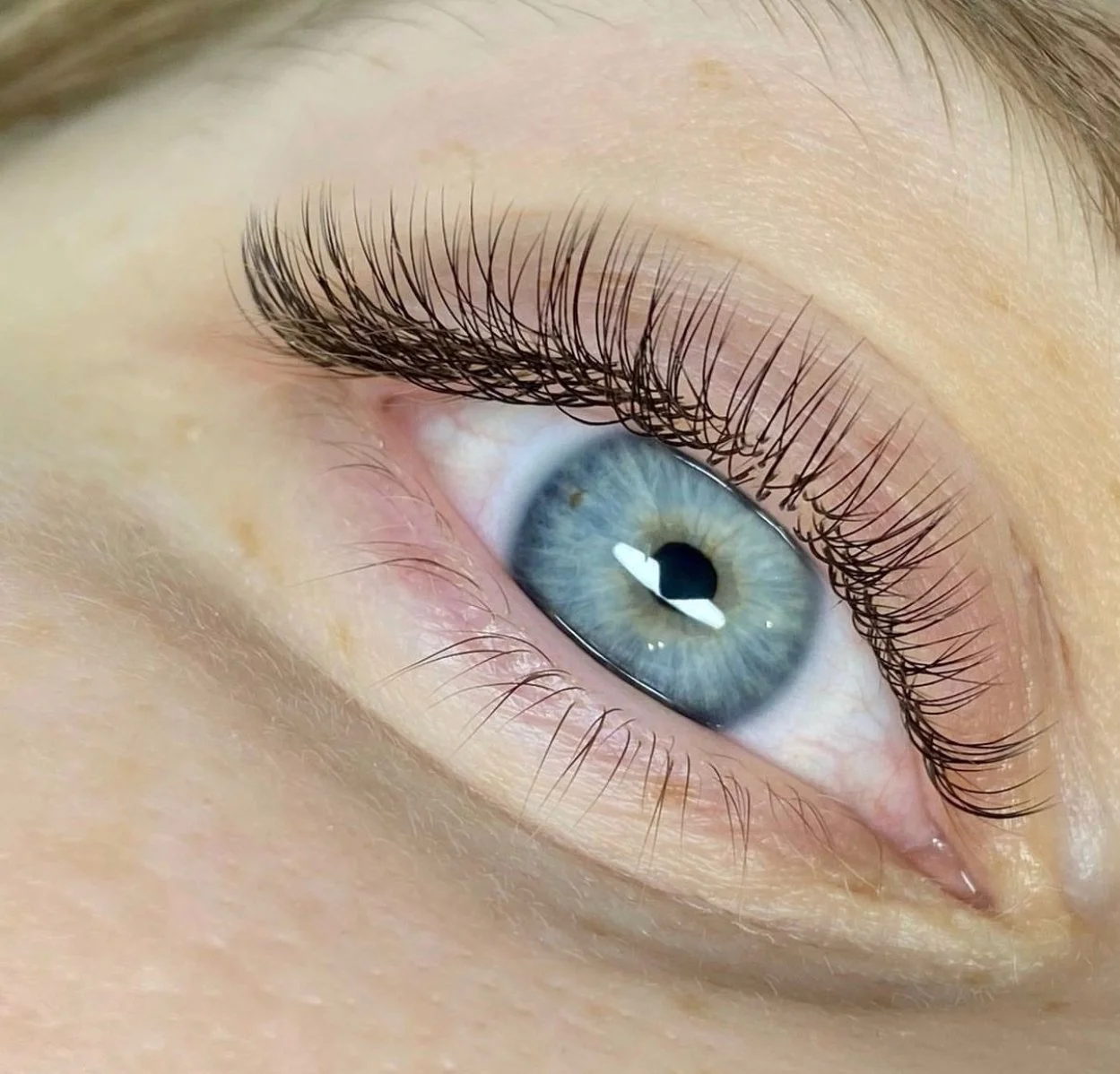 Close-up of a blue eye with long eyelashes and smooth skin.