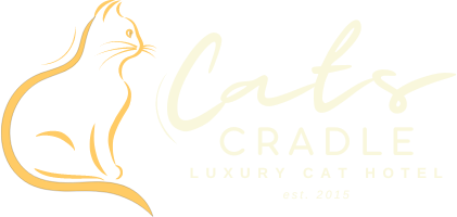 Cats Cradle | Luxury Cat Hotel