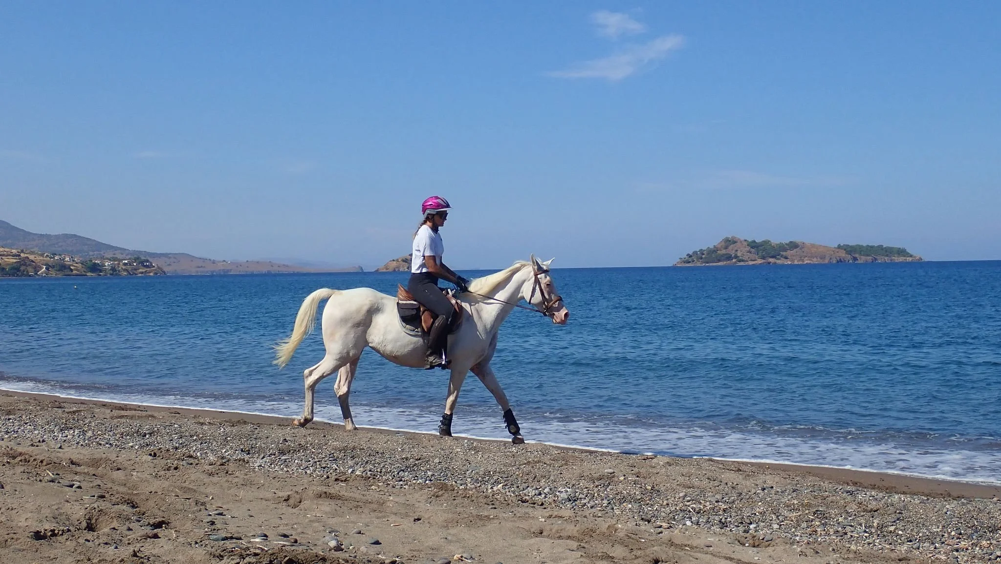A rider on a white horse who is walking on the beach, right on the line where the water meets the sand.