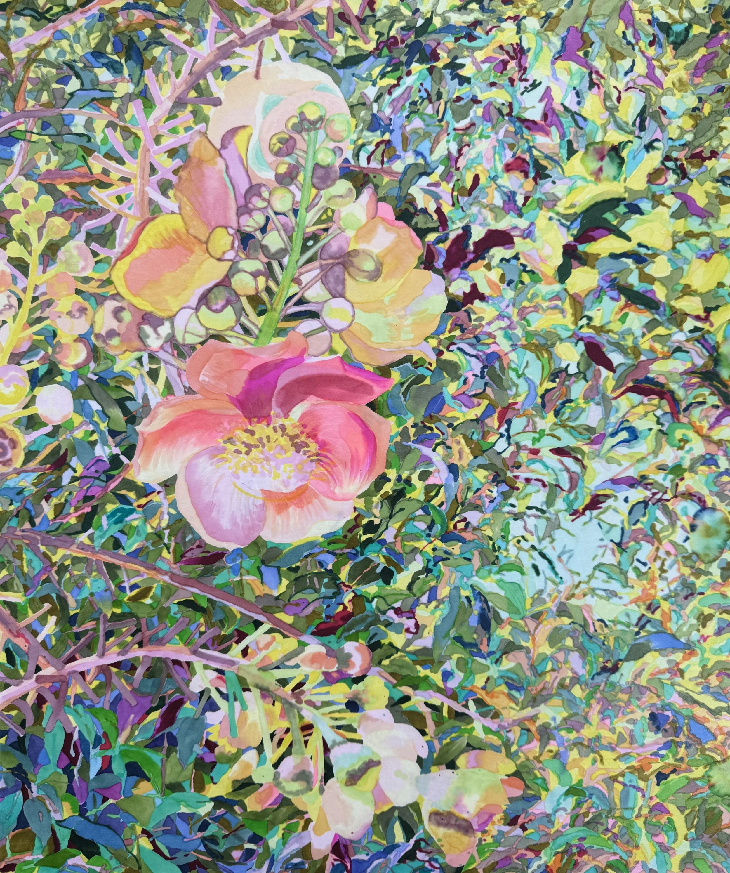 Cannonball Tree, 2025, alcohol marker on paper, 18x15 inches