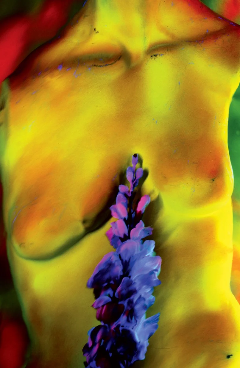 Nude Without Arms