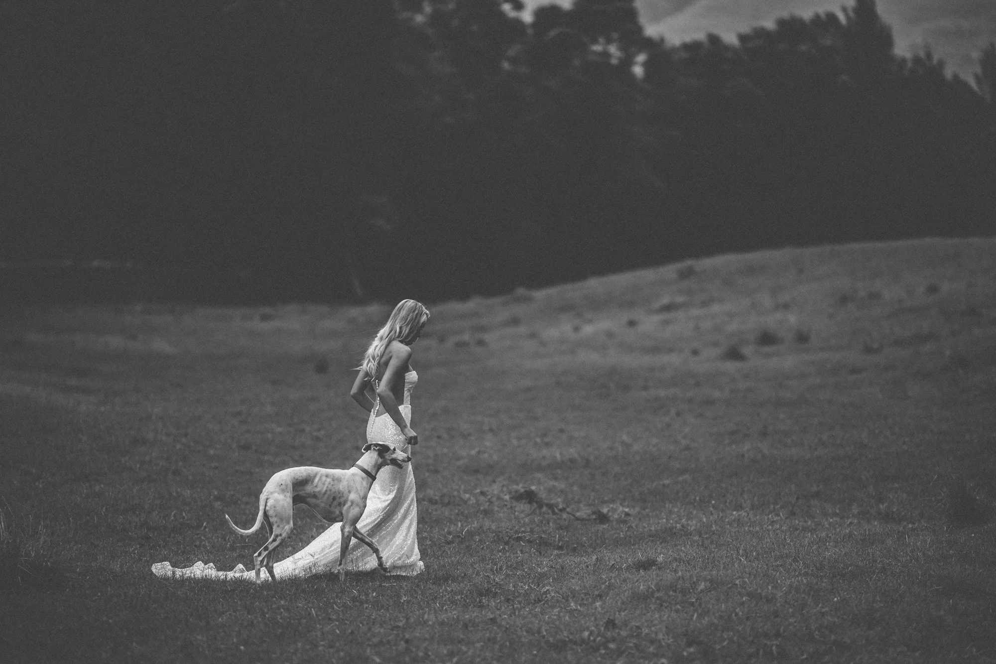 Bride and groom portrait during an Overberg wedding near Swellendam