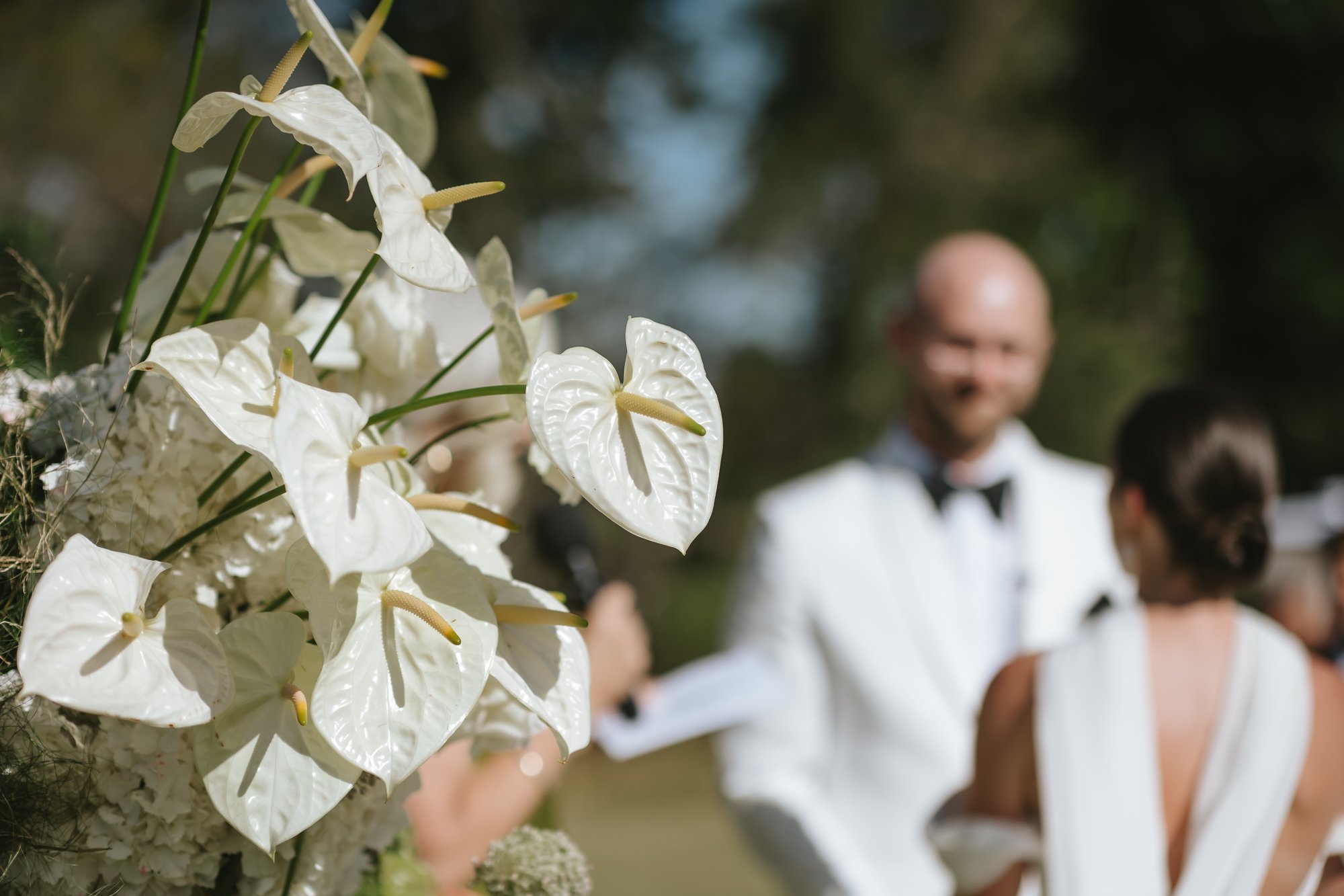 plaisir-wedding-venue-photographer (29).jpg