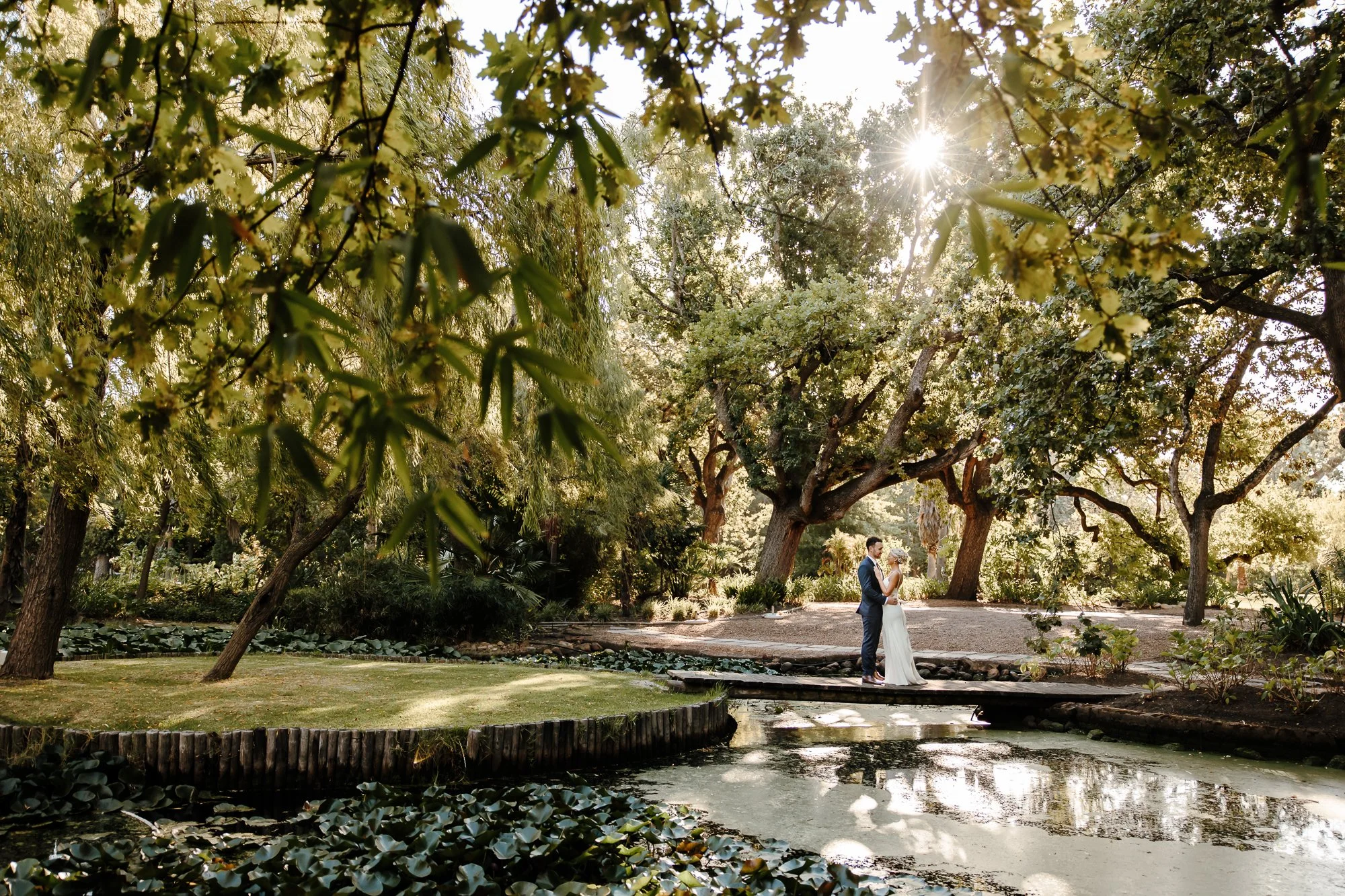 Bride and groom photographed beneath the trees at Nooitgedacht Estate Stellenbosch