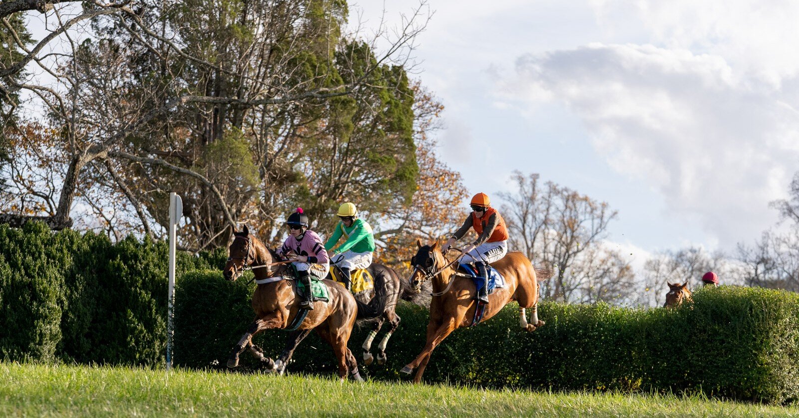 Race day recap &mdash; #7 The Noel Laing 

Song for Someone owned by Mrs. S. K. Johnton Jr, ridden by N. Brennan and trained by Leslie Young.

Sponsored by Virginia Equine Alliance 

#montpelierhuntraces2022 #racedayrecap #horseracing #thoroughbred #