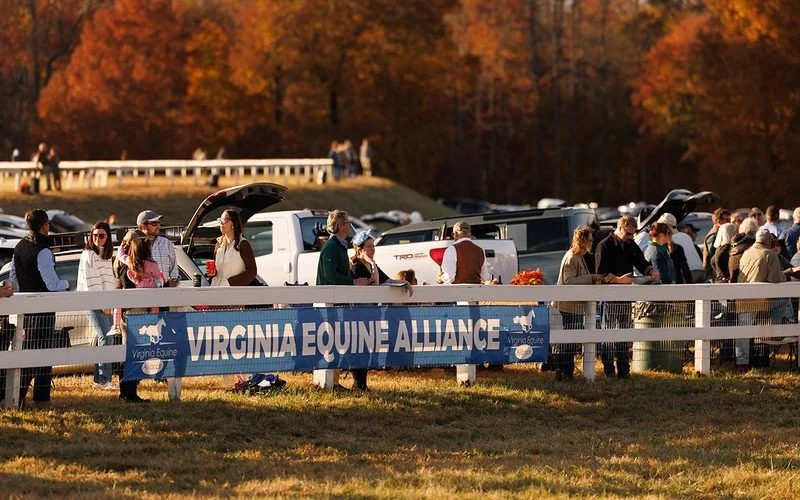 Meet the Virginia Equine Alliance