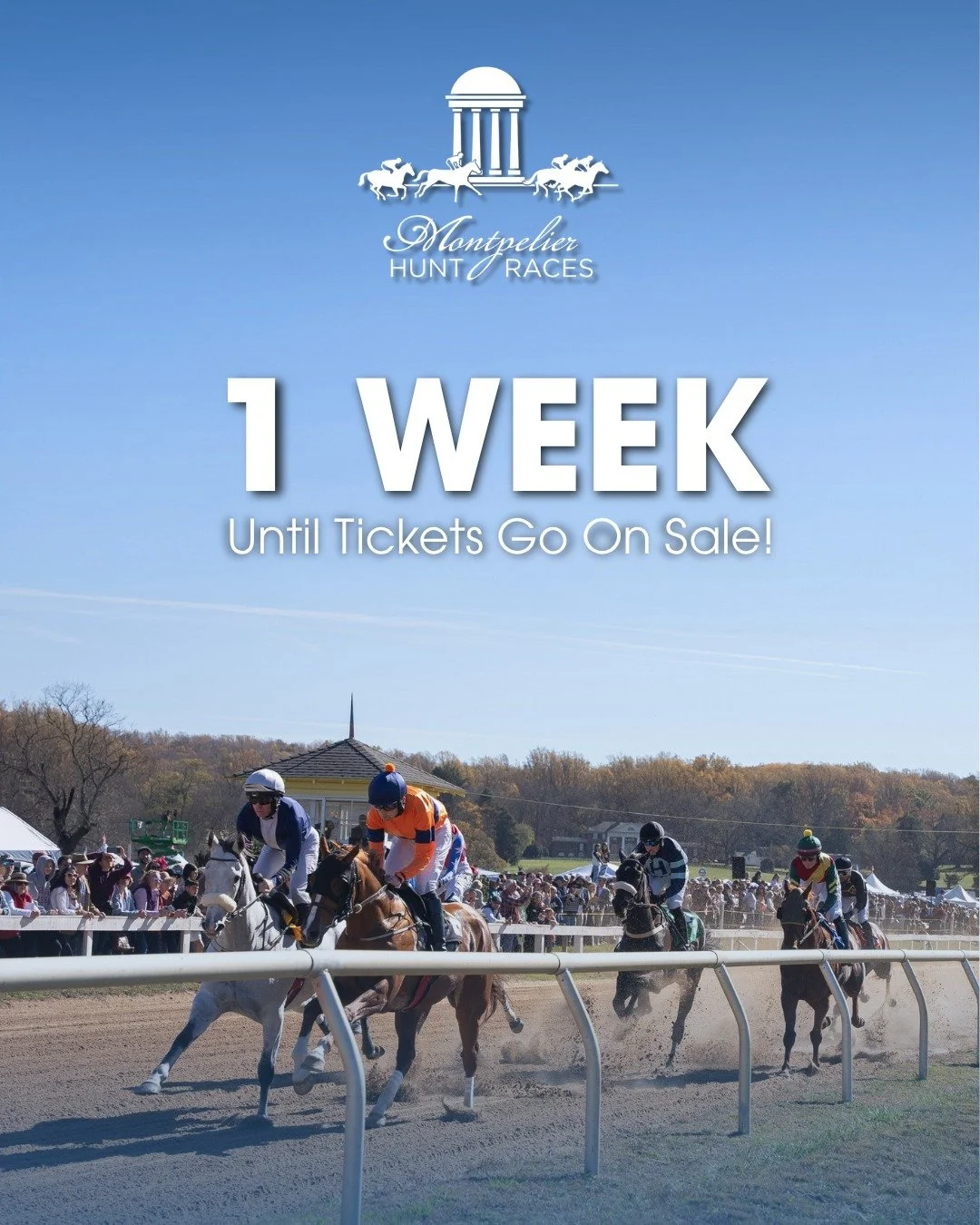 A important reminder - tickets for the Montpelier Hunt Races go on sale in one week.

If you're planning to attend, sponsor, or bring a group, this is your window. 

The Montpelier Hunt Races is one of the premier steeplechase events on the East Coas