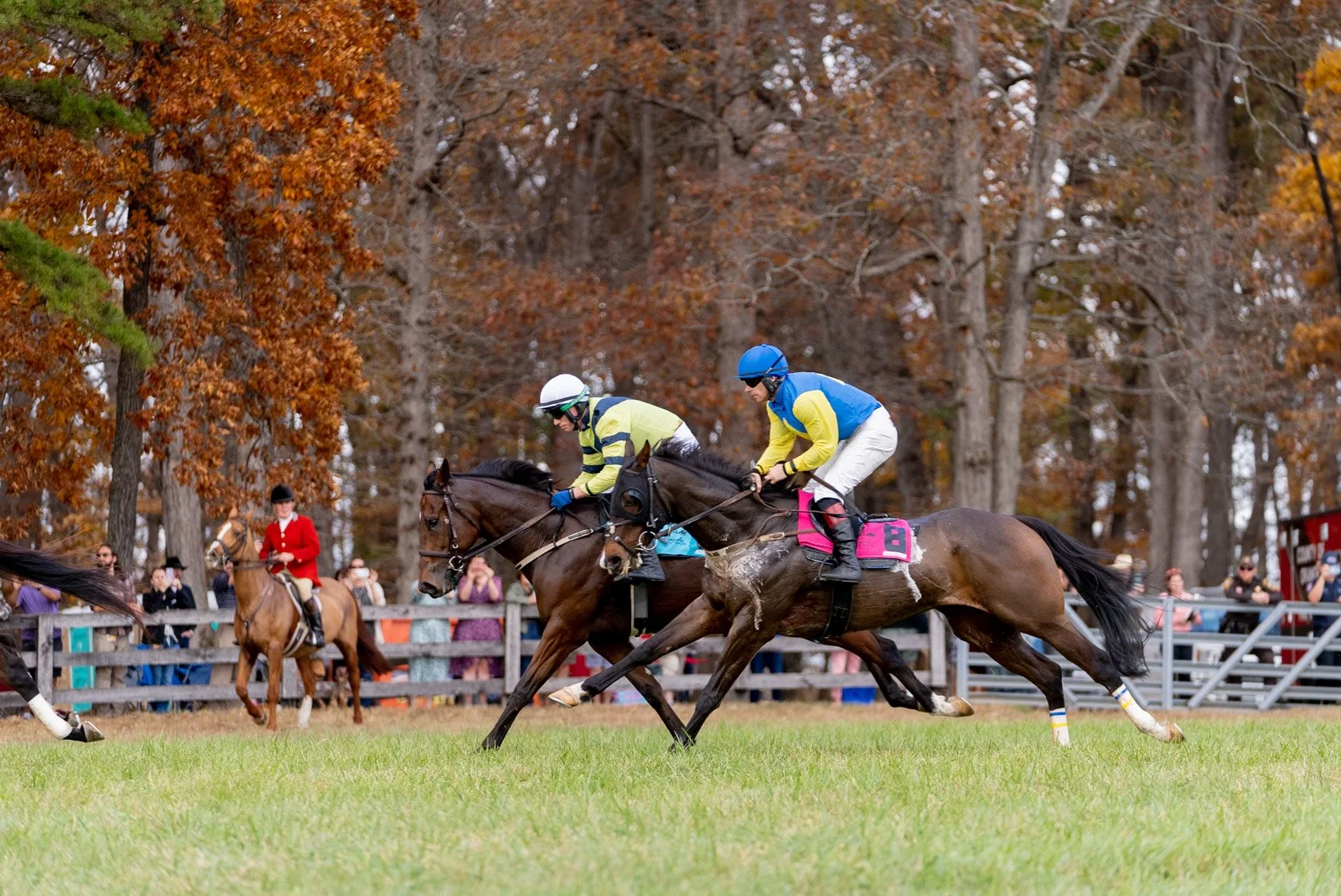 Horse race showing jockeys riding horses on grassy track with spectators in autumnal background.