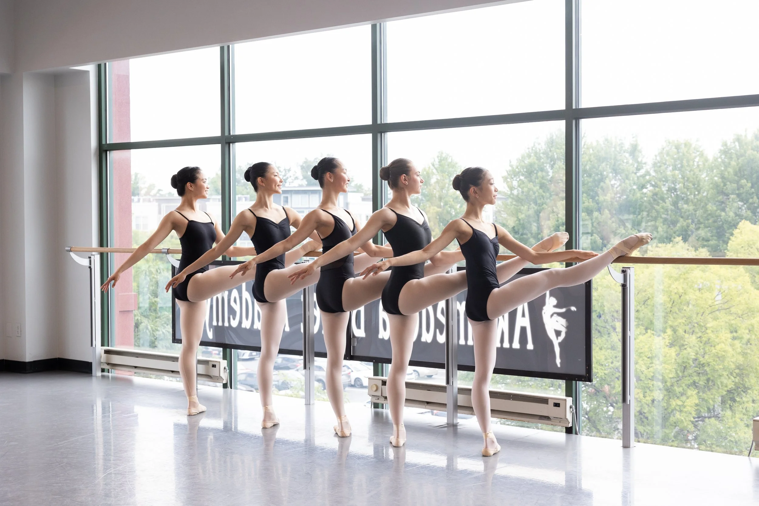 Meet the Dancers - In Studio Demonstration