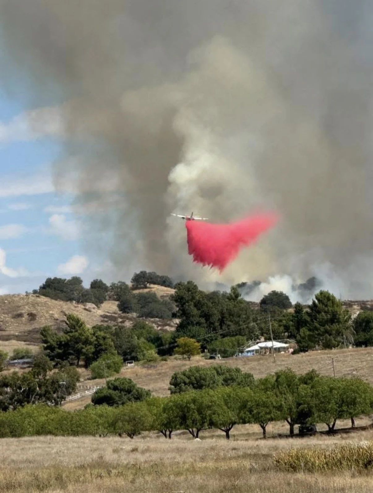 When You Pass Through the Fire