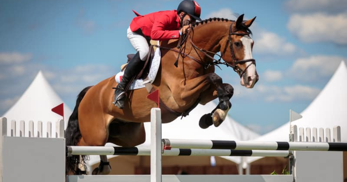 What Is English Horseback Riding? A Beginner’s Guide to the Discipline