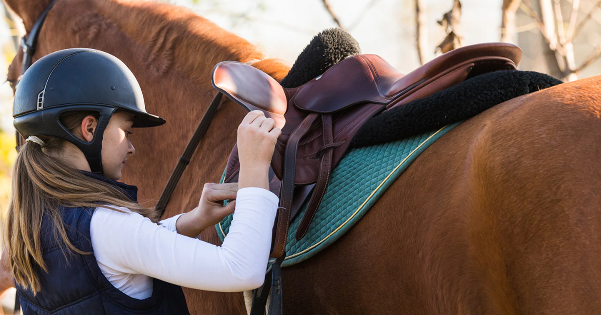 What to Expect in Your First Horse Riding Lesson