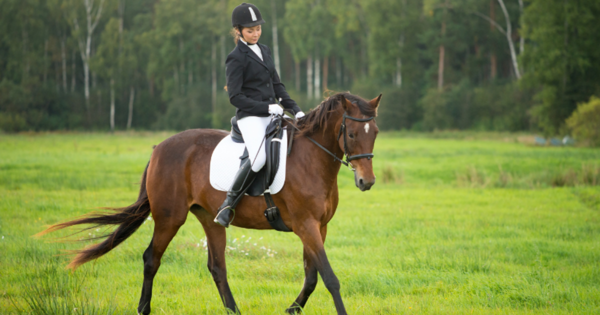Horsemanship vs Horse Riding Differences - What You Need to Know