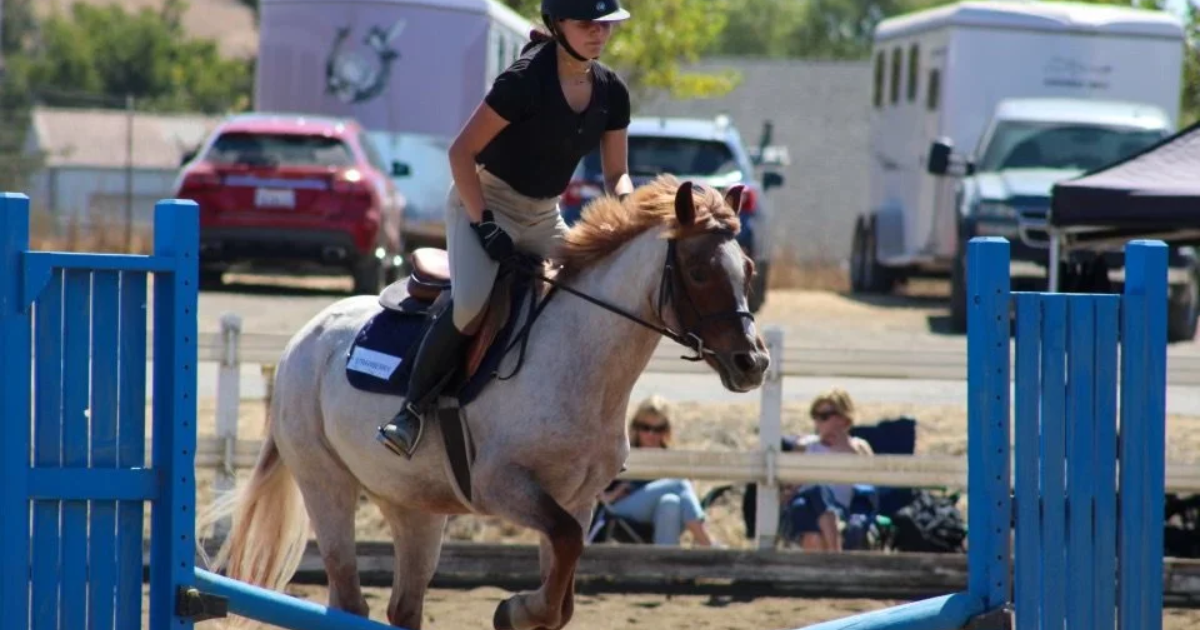 What to Expect in First Horse Riding Lesson: A Calm, Clear First Look