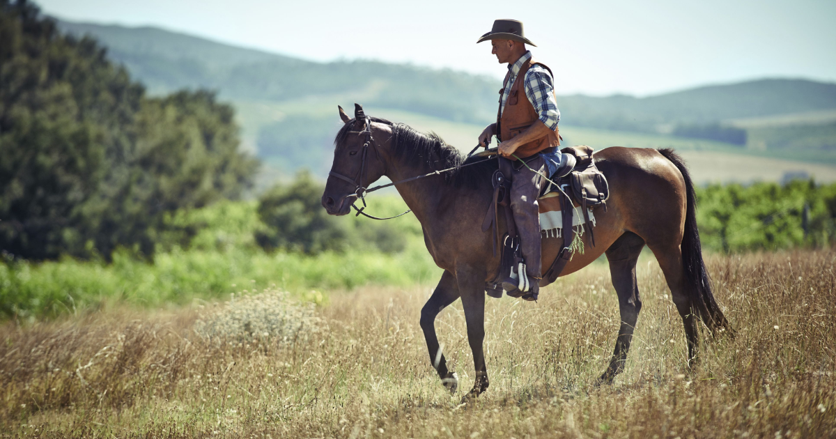 Horsemanship vs Horse Riding Differences - Understanding What Really Sets Them Apart