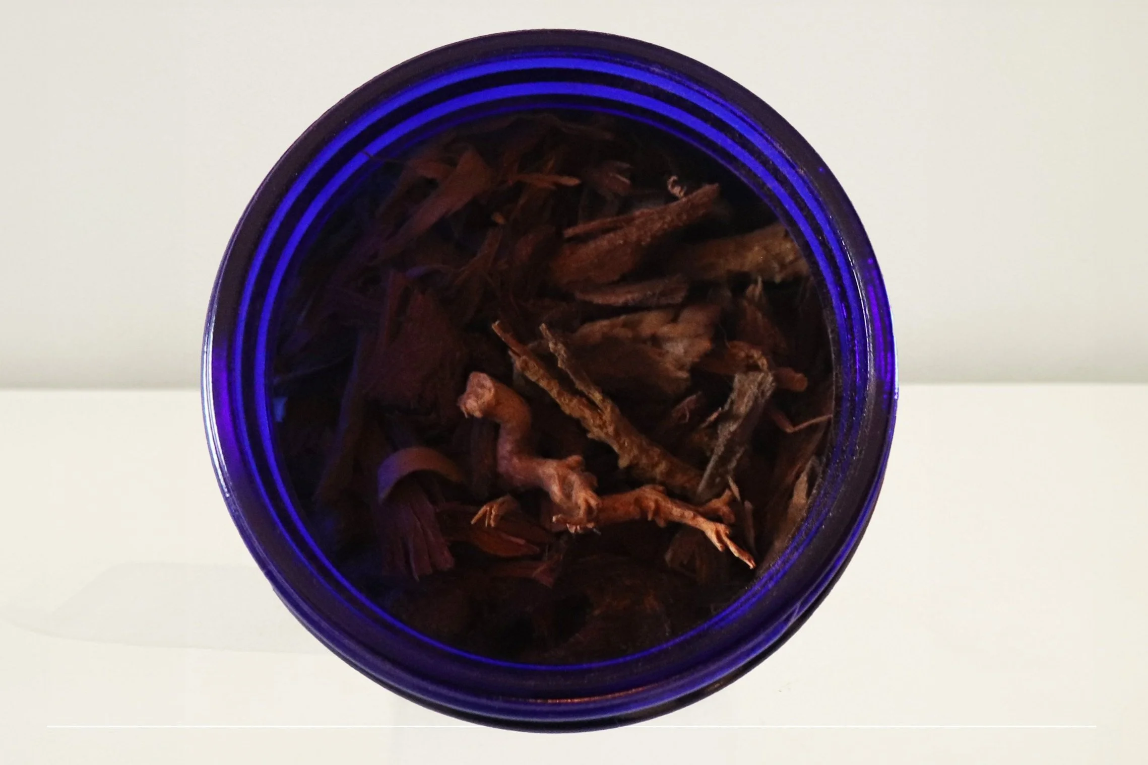 Dgon+Womens+Tea+-+inside.jpg