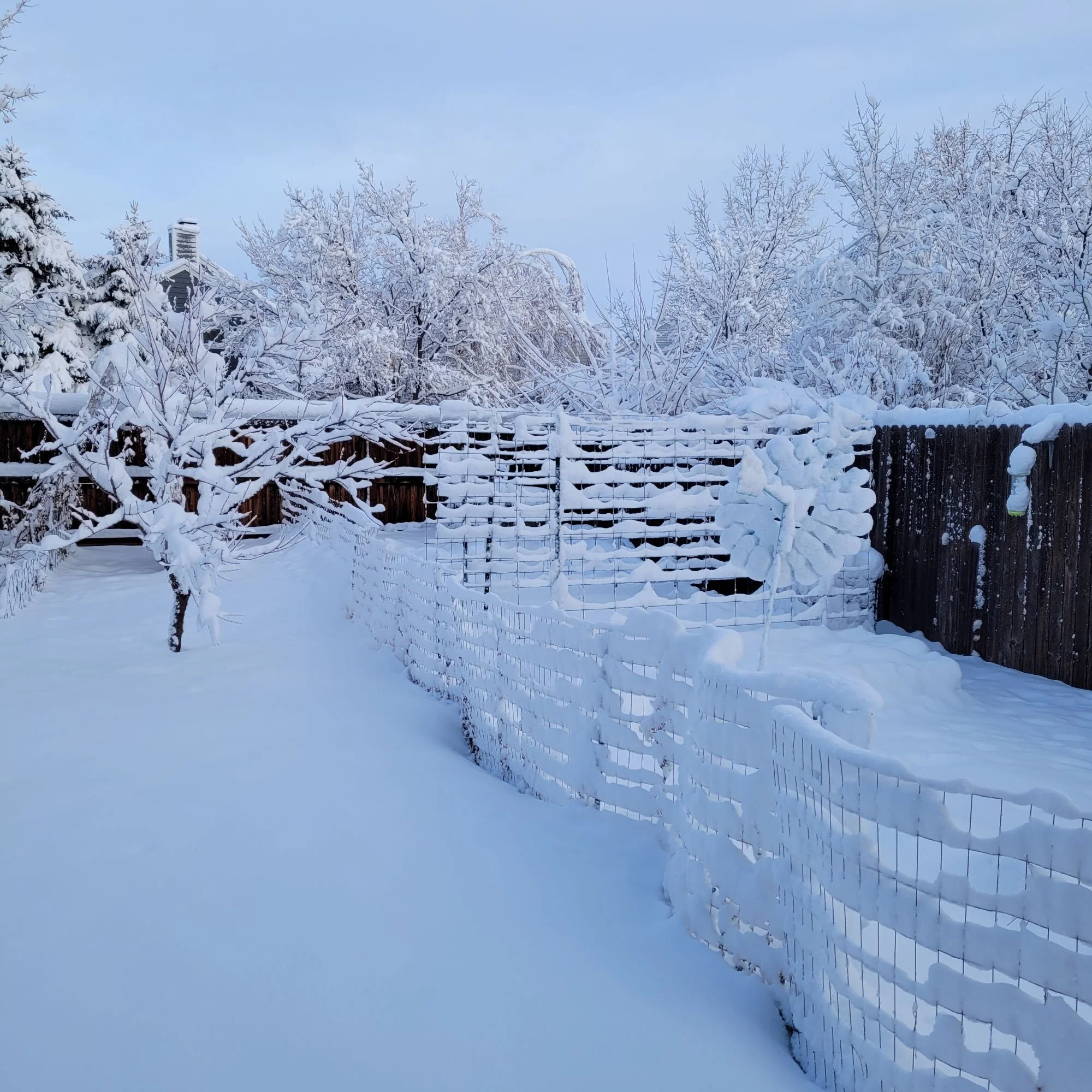 December 2022 Garden