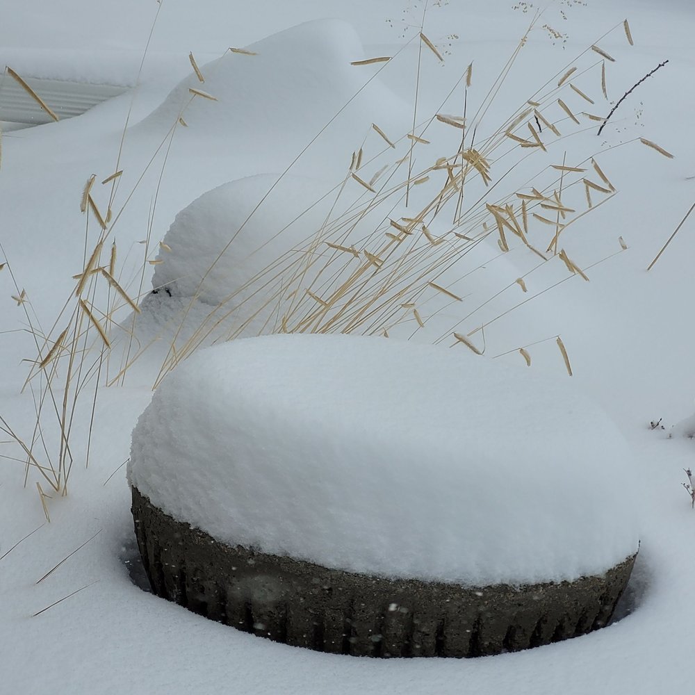 Snow covered hypertufa pot