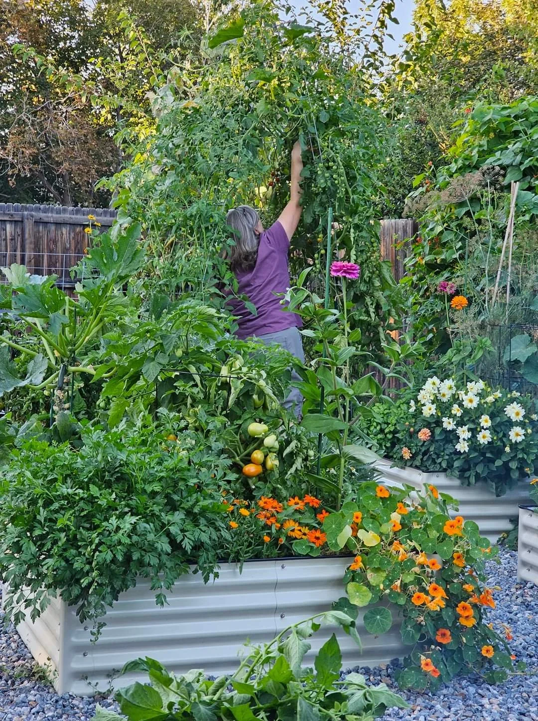 Sharon in the kitchen garden