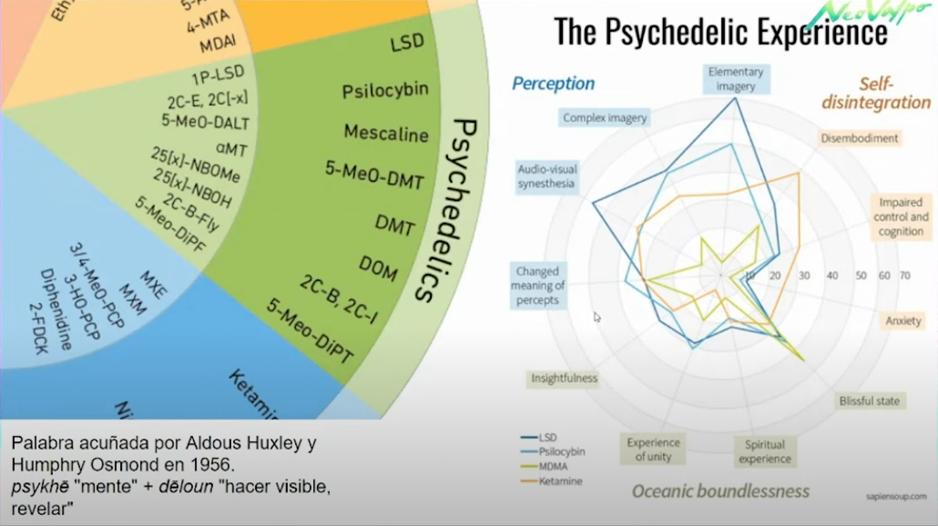 Drogas psicodélicas y su potencial terapéutico en salud mental