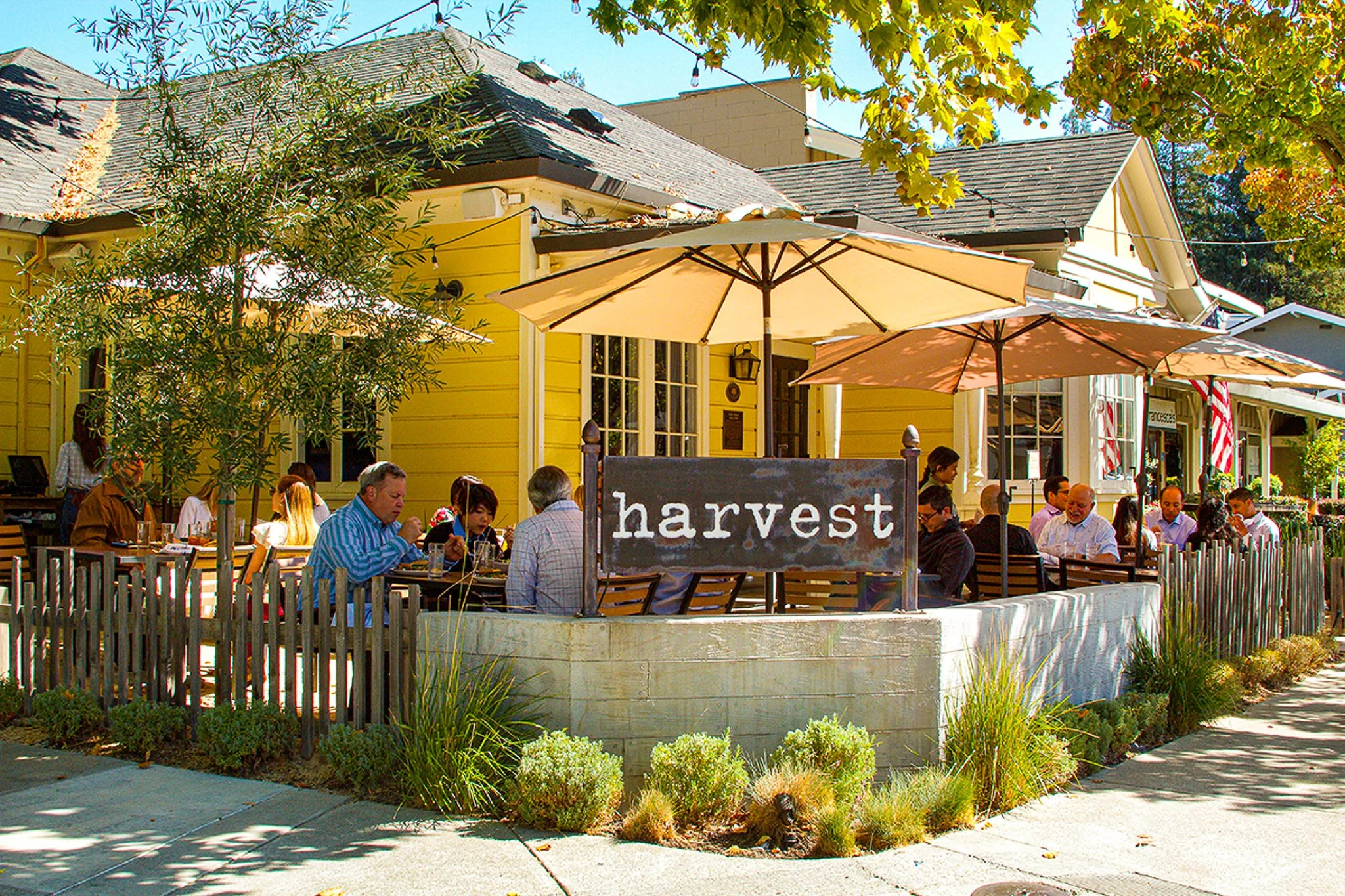 Danville Harvest Danville's Farm to Table Restaurant