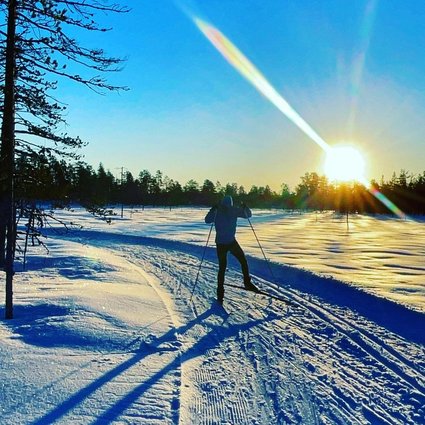2022 #orsa🇸🇪 #x-country⛷ #action🤘