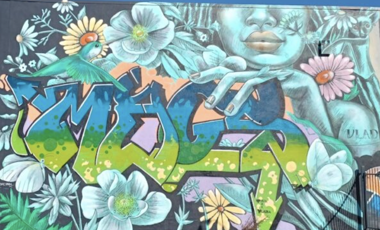 Screen Shot 2023-01-19 at 11.52.49 AM.png