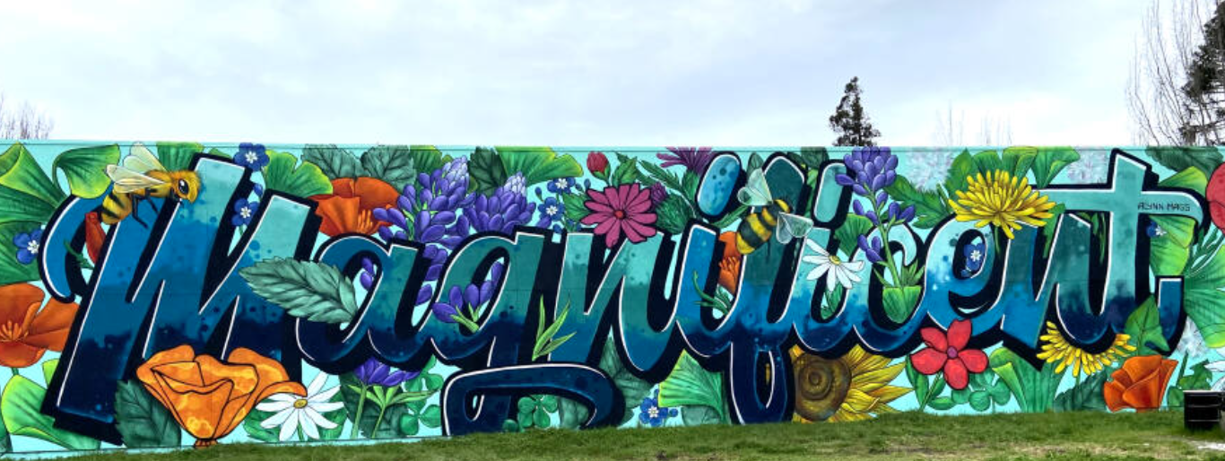 Screen Shot 2023-01-19 at 11.51.44 AM.png