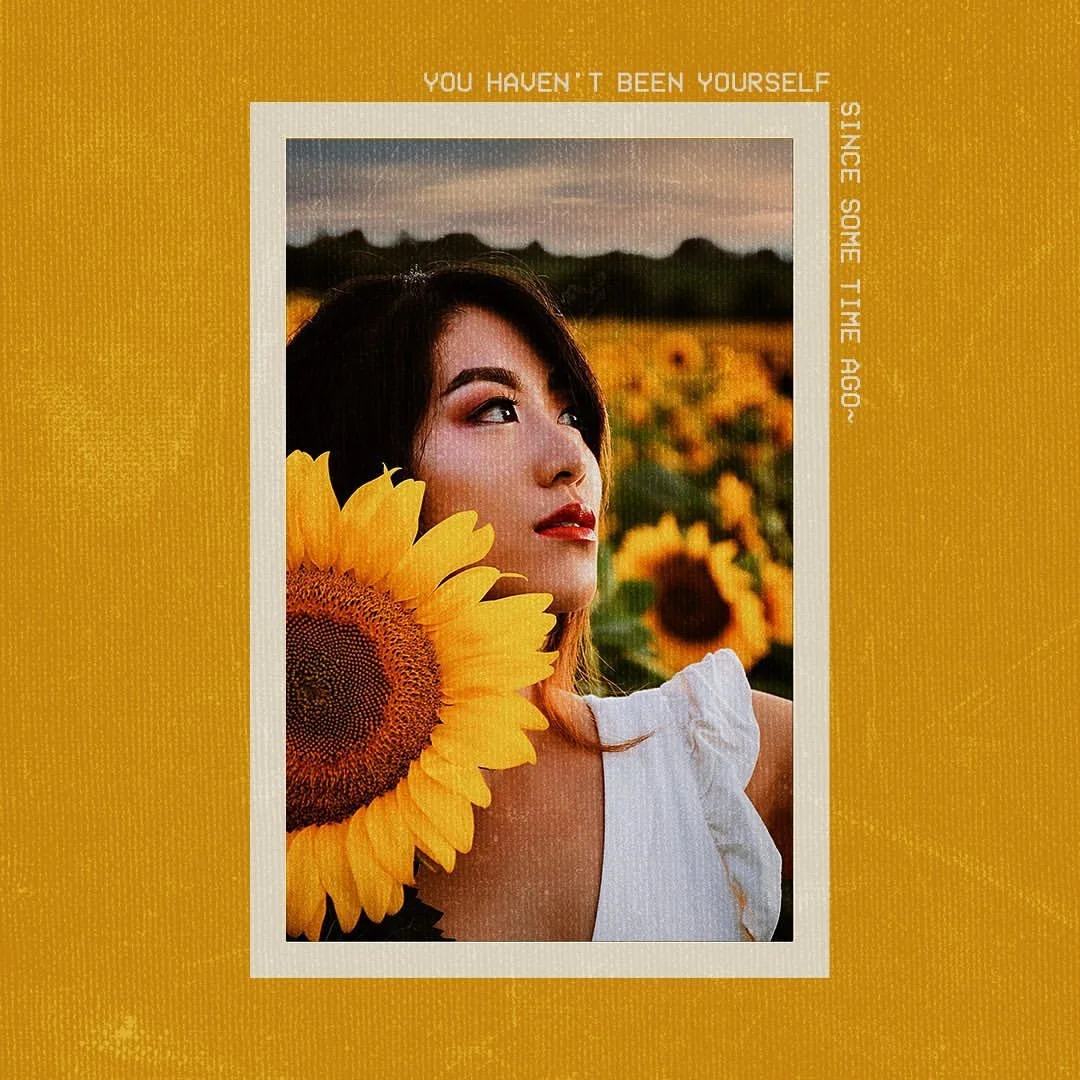 Sunflower-2.jpg
