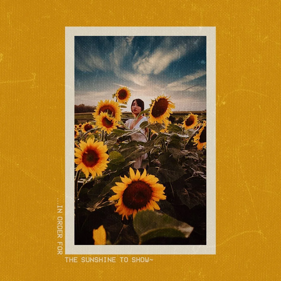 Sunflower-4.jpg