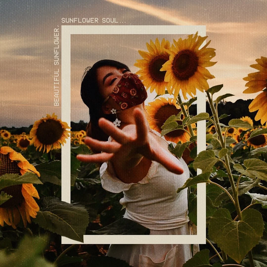 Sunflower-1.jpg
