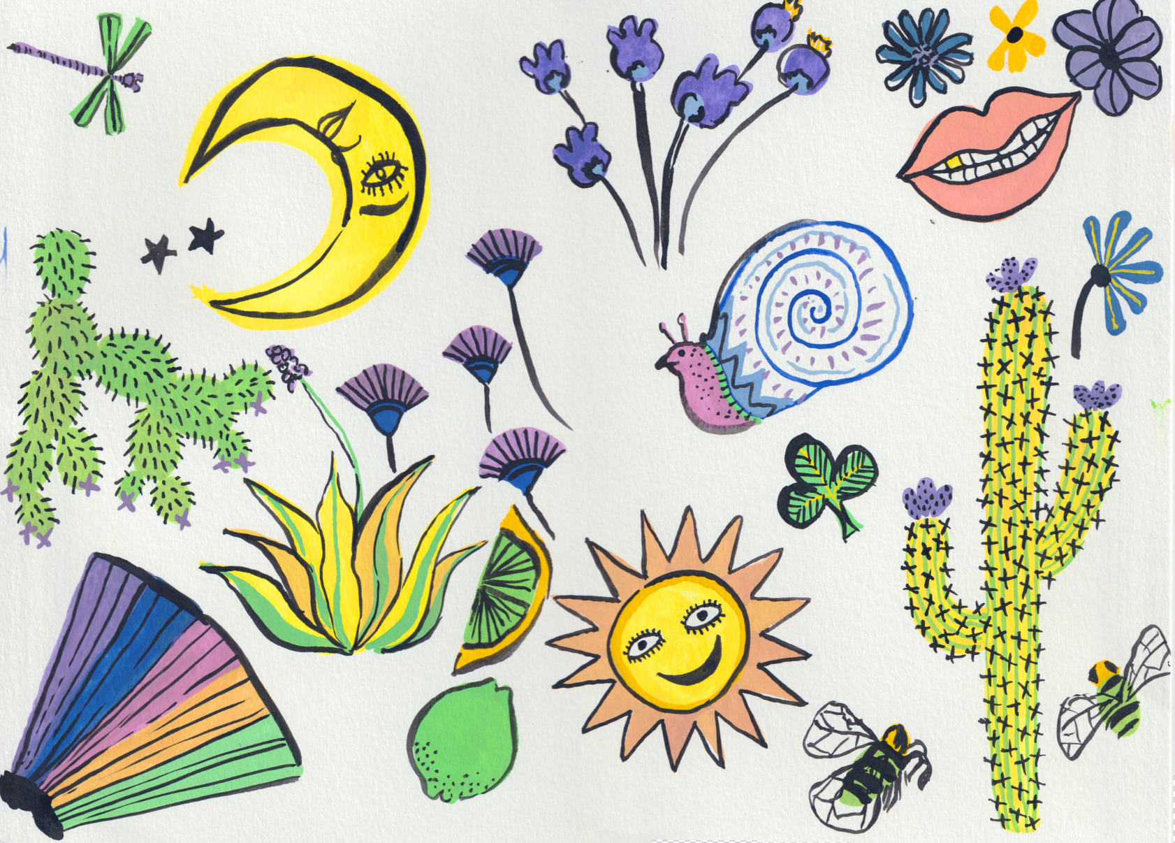 IMG_7368.png