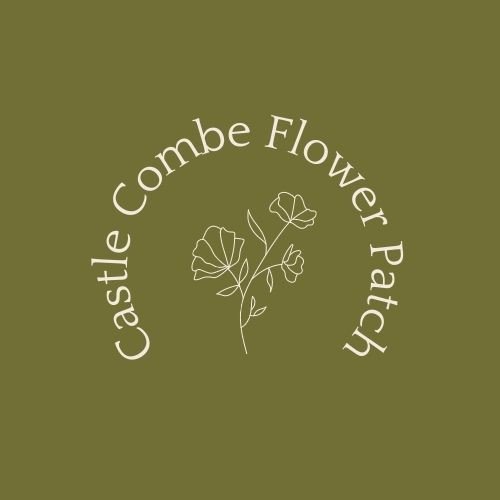 CCFP logo.jpg