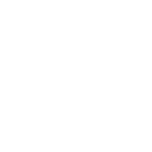 smartlee THE DIGITAL TRANSFORMATION AGENCY