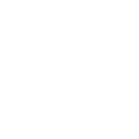 JE_MPR.png