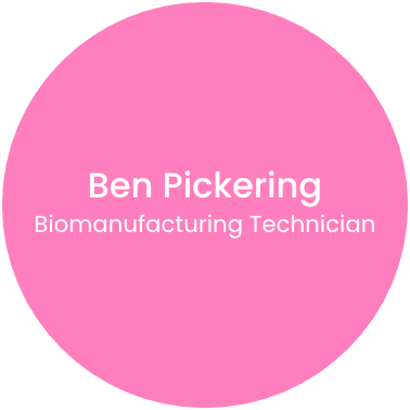 BP.png