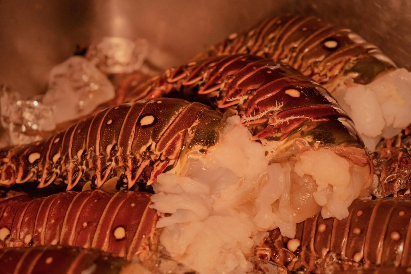 Cozumel — The Original Lobster House